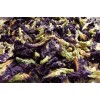 Butterfly-Pea Tea  (Blauer Schamblumen Tee)  